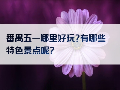 番禺五一哪里好玩？有哪些特色景点呢？