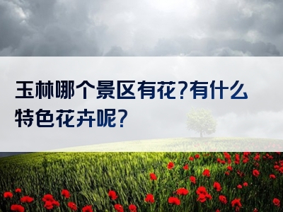 玉林哪个景区有花？有什么特色花卉呢？