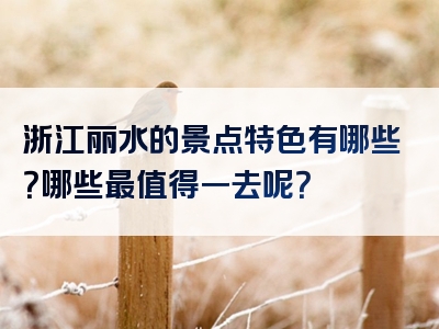 浙江丽水的景点特色有哪些？哪些最值得一去呢？