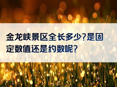金龙峡景区全长多少？是固定数值还是约数呢？