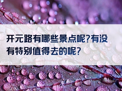 开元路有哪些景点呢？有没有特别值得去的呢？