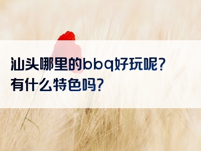汕头哪里的bbq好玩呢？有什么特色吗？