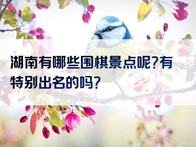 湖南有哪些围棋景点呢？有特别出名的吗？