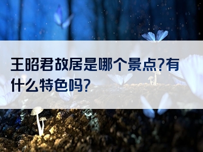 王昭君故居是哪个景点？有什么特色吗？