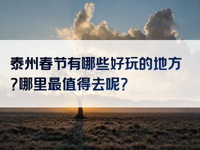 泰州春节有哪些好玩的地方？哪里最值得去呢？