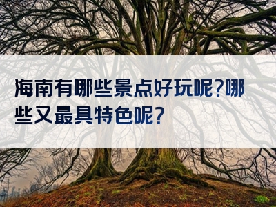 海南有哪些景点好玩呢？哪些又最具特色呢？