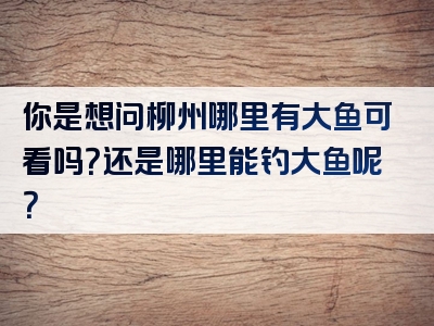 你是想问柳州哪里有大鱼可看吗？还是哪里能钓大鱼呢？