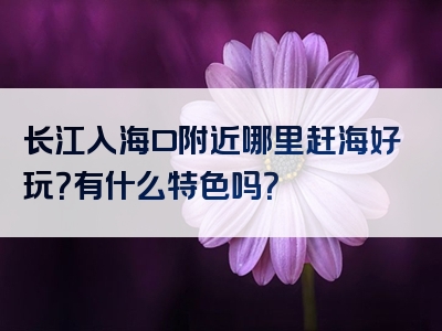 长江入海口附近哪里赶海好玩？有什么特色吗？