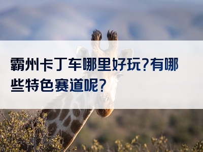 霸州卡丁车哪里好玩？有哪些特色赛道呢？