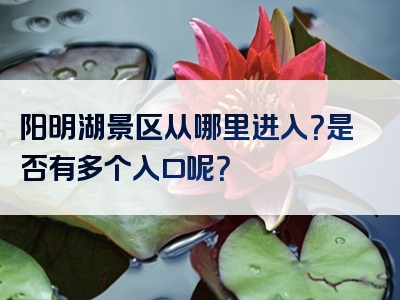 阳明湖景区从哪里进入？是否有多个入口呢？