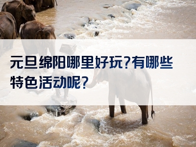 元旦绵阳哪里好玩？有哪些特色活动呢？