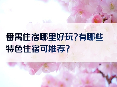 番禺住宿哪里好玩？有哪些特色住宿可推荐？