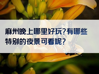 麻州晚上哪里好玩？有哪些特别的夜景可看呢？