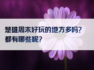 楚雄周末好玩的地方多吗？都有哪些呢？