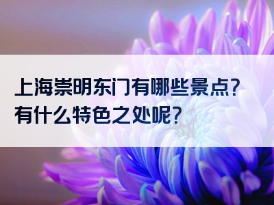 上海崇明东门有哪些景点？有什么特色之处呢？