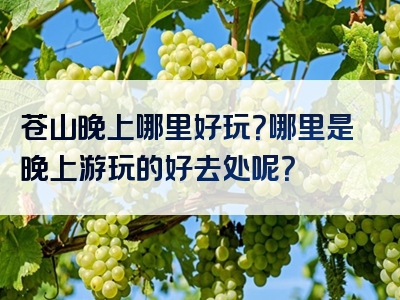 苍山晚上哪里好玩？哪里是晚上游玩的好去处呢？