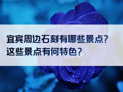 宜宾周边石刻有哪些景点？这些景点有何特色？