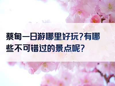 蔡甸一日游哪里好玩？有哪些不可错过的景点呢？