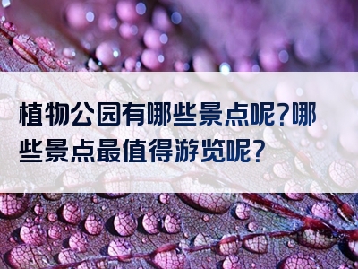 植物公园有哪些景点呢？哪些景点最值得游览呢？