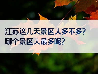 江苏这几天景区人多不多？哪个景区人最多呢？