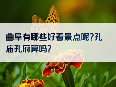 曲阜有哪些好看景点呢？孔庙孔府算吗？