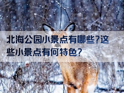 北海公园小景点有哪些？这些小景点有何特色？