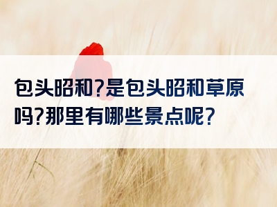 包头昭和？是包头昭和草原吗？那里有哪些景点呢？