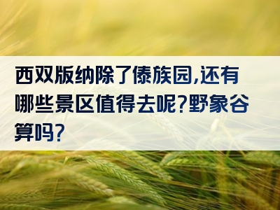 西双版纳除了傣族园，还有哪些景区值得去呢？野象谷算吗？