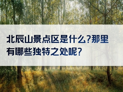 北辰山景点区是什么？那里有哪些独特之处呢？