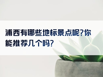浦西有哪些地标景点呢？你能推荐几个吗？