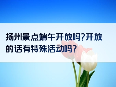 扬州景点端午开放吗？开放的话有特殊活动吗？