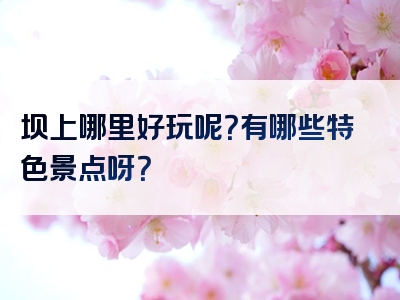 坝上哪里好玩呢？有哪些特色景点呀？