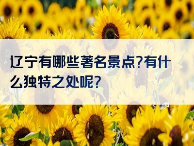辽宁有哪些著名景点？有什么独特之处呢？