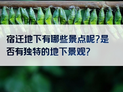 宿迁地下有哪些景点呢？是否有独特的地下景观？