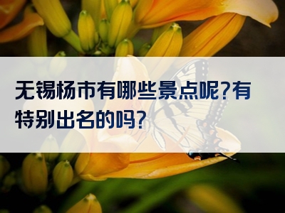 无锡杨市有哪些景点呢？有特别出名的吗？