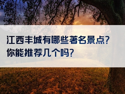 江西丰城有哪些著名景点？你能推荐几个吗？