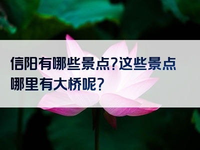 信阳有哪些景点？这些景点哪里有大桥呢？