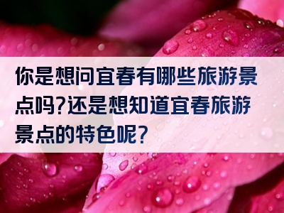 你是想问宜春有哪些旅游景点吗？还是想知道宜春旅游景点的特色呢？