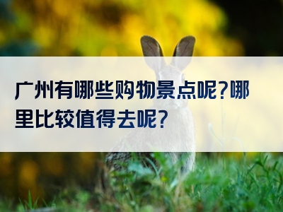 广州有哪些购物景点呢？哪里比较值得去呢？