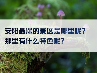 安阳最深的景区是哪里呢？那里有什么特色呢？
