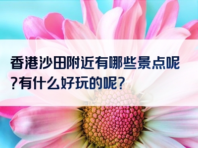 香港沙田附近有哪些景点呢？有什么好玩的呢？