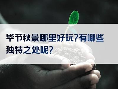毕节秋景哪里好玩？有哪些独特之处呢？