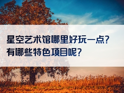 星空艺术馆哪里好玩一点？有哪些特色项目呢？