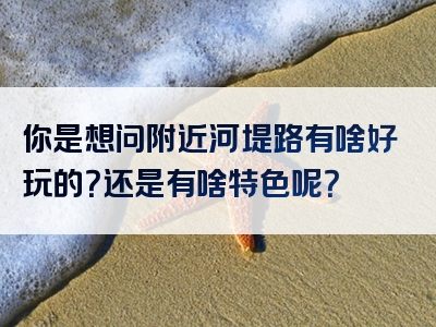 你是想问附近河堤路有啥好玩的？还是有啥特色呢？