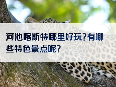 河池喀斯特哪里好玩？有哪些特色景点呢？
