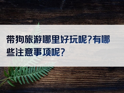 带狗旅游哪里好玩呢？有哪些注意事项呢？