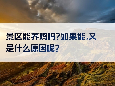 景区能养鸡吗？如果能，又是什么原因呢？