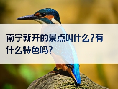 南宁新开的景点叫什么？有什么特色吗？