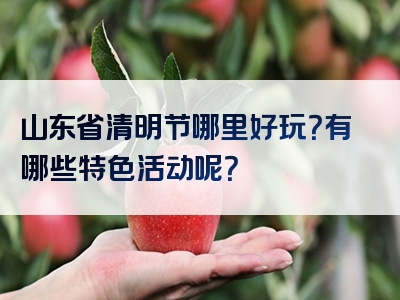 山东省清明节哪里好玩？有哪些特色活动呢？