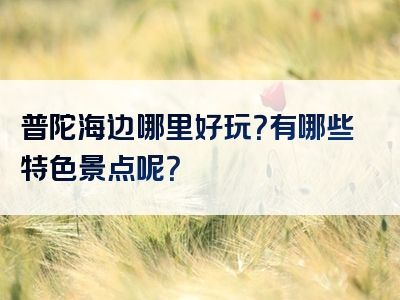 普陀海边哪里好玩？有哪些特色景点呢？